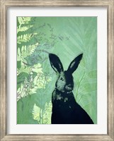 Framed Cheeky Rabbit