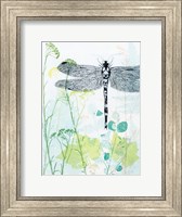 Framed Dragonfly And The Healing Plant