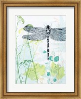 Framed Dragonfly And The Healing Plant