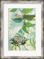 Framed Elusive Dragonfly and Waratah
