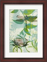 Framed Elusive Dragonfly and Waratah