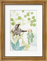 Framed Wattlebird and Pincushion Protea