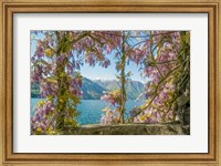 Framed Wisteria and Mountains - Lago di Como