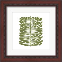Framed Hawaiian Pine