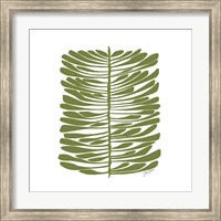 Framed Hawaiian Pine