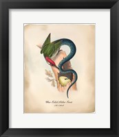 Framed Slithertweet