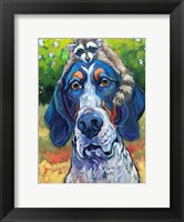 Framed Coonhound