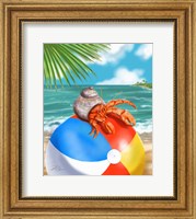 Framed Beach Friends - Hermit Crab