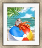 Framed Beach Friends - Hermit Crab