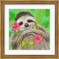 Framed Smiling Sloth