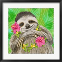 Framed Smiling Sloth