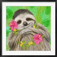 Framed Smiling Sloth