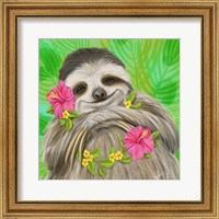 Framed Smiling Sloth