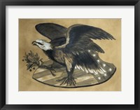 Framed Antique Eagle