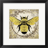 Framed 'Honey Bee 1' border=