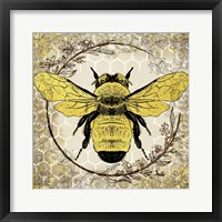 Framed Honey Bee 1