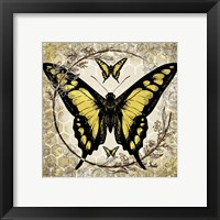Framed 'Honey Bee Butterfly 4' border=
