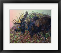 Framed Moose