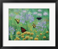 Framed Butterflies are Free