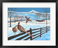 Framed Wintering Pheasants