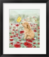Framed Golden with Butterfly