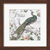 Framed 'Paris Peacock' border=