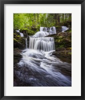 Framed Spring at Garwin Falls - Vertical