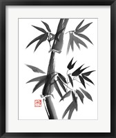 Framed Bamboo 1