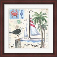 Framed Post Cards and Palms