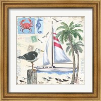 Framed 'Post Cards and Palms' border=