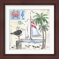 Framed 'Post Cards and Palms' border=