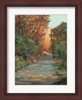 Framed Autumn Path
