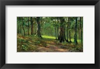 Framed Black Mountain Forest