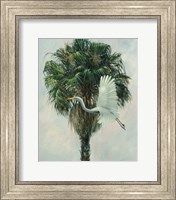 Framed Cabbage Palm