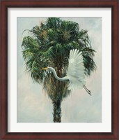 Framed Cabbage Palm