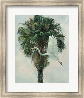 Framed Cabbage Palm