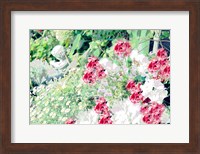 Framed Garden VI