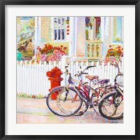 Framed Bikes & Fire Hydrant