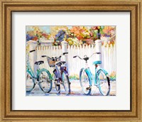 Framed Bikes