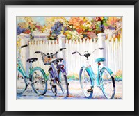 Framed Bikes