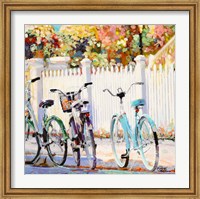 Framed Bikes I
