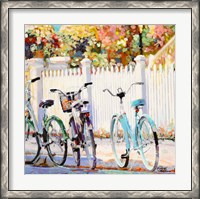 Framed Bikes I