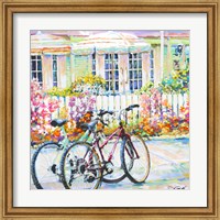 Framed Bikes Three