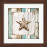Framed 'Starfish on Beach' border=