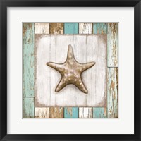 Framed 'Starfish on Beach' border=