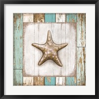 Framed Starfish on Beach