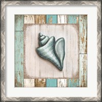 Framed Turquoise Seashell