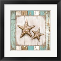 Framed 'Two Starfish' border=