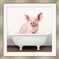 Framed Pig in Bathtub Solo