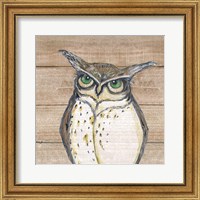 Framed 'Owl' border=